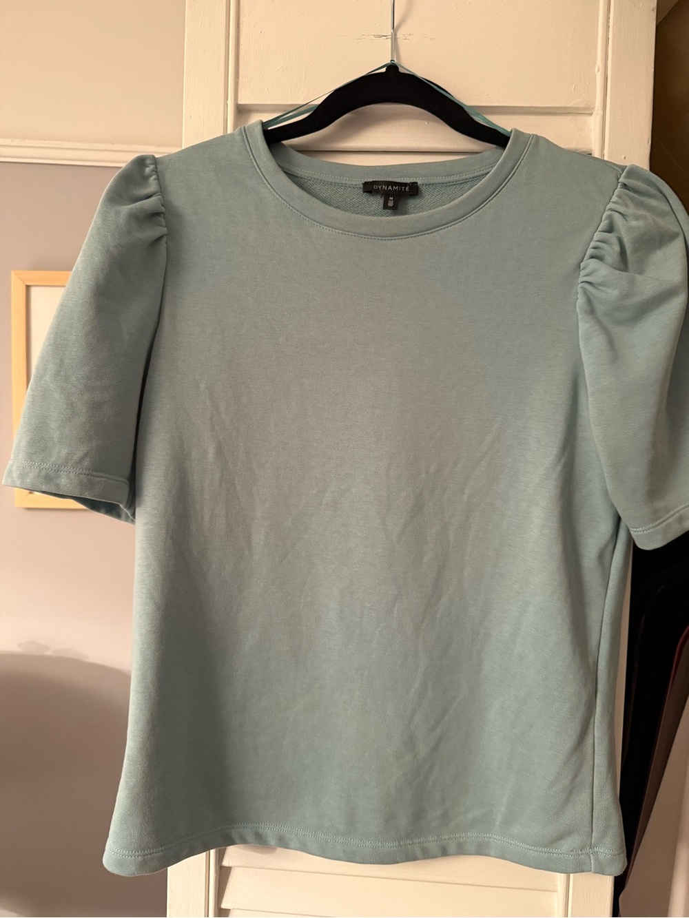 Dynamite Puff Sleeve Crewneck Top - Light Sage
